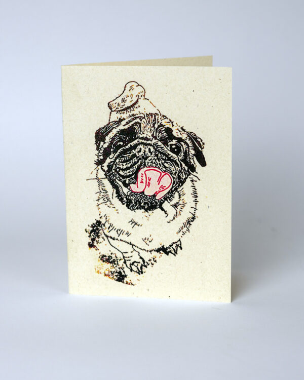 Recycled paper pug